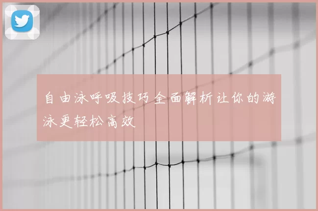 自由泳呼吸技巧全面解析让你的游泳更轻松高效