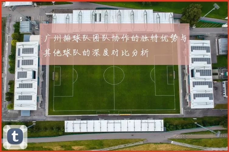 广州排球队团队协作的独特优势与其他球队的深度对比分析