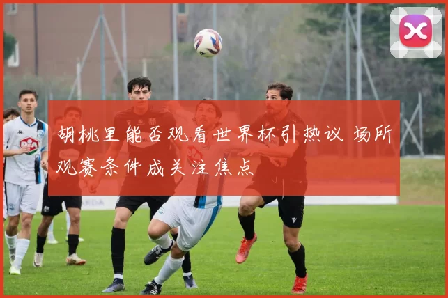 胡桃里能否观看世界杯引热议 场所观赛条件成关注焦点