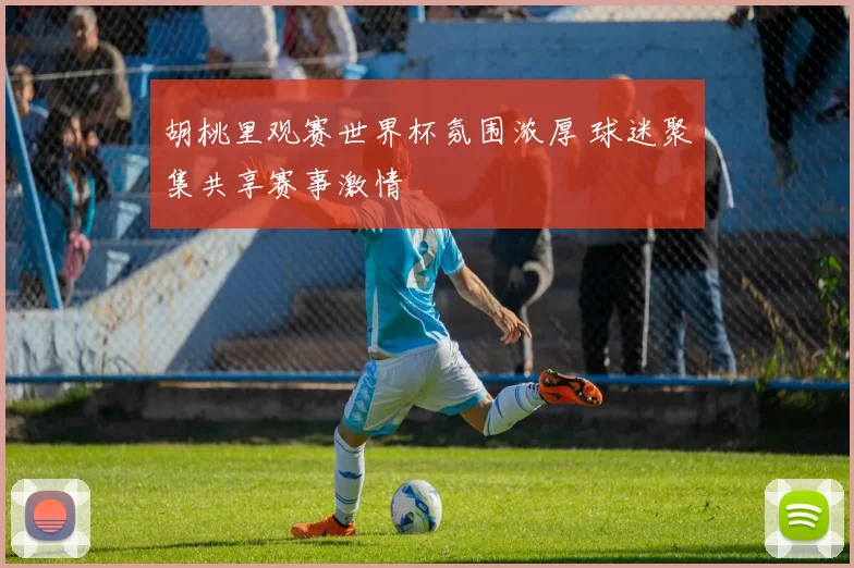 胡桃里观赛世界杯氛围浓厚 球迷聚集共享赛事激情
