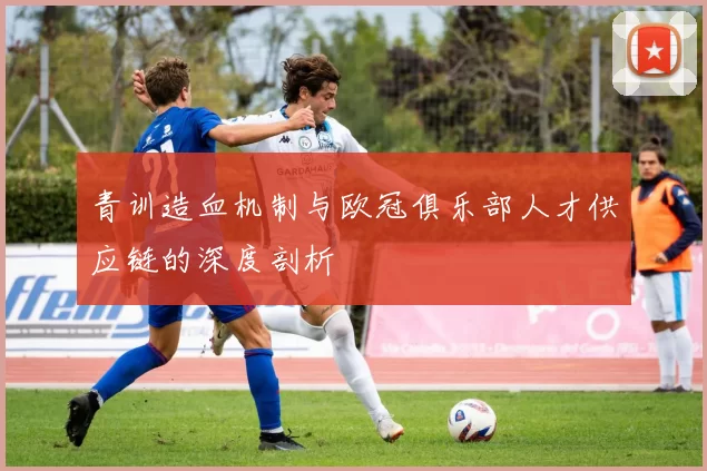青训造血机制与欧冠俱乐部人才供应链的深度剖析