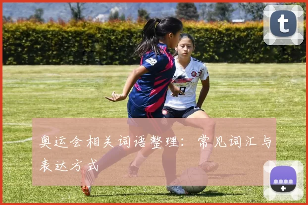 奥运会相关词语整理:常见词汇与表达方式