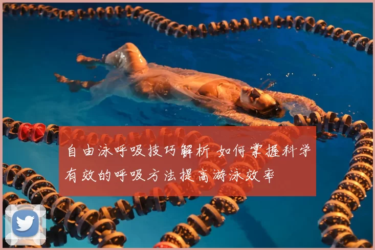 自由泳呼吸技巧解析 如何掌握科学有效的呼吸方法提高游泳效率