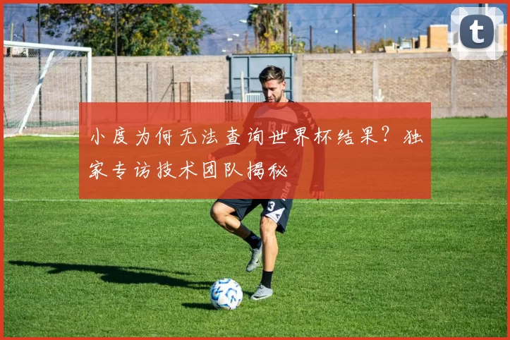 小度为何无法查询世界杯结果?独家专访技术团队揭秘