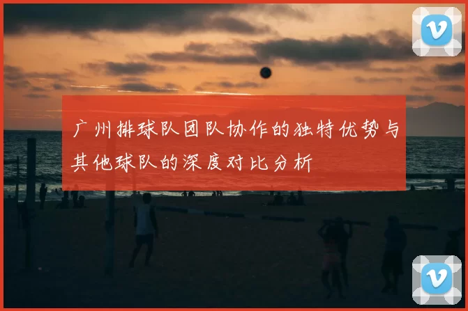 广州排球队团队协作的独特优势与其他球队的深度对比分析