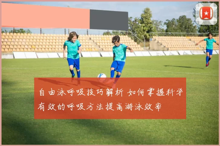 自由泳呼吸技巧解析 如何掌握科学有效的呼吸方法提高游泳效率