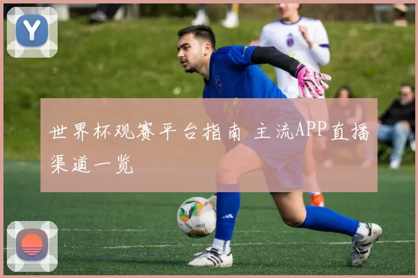 世界杯观赛平台指南 主流APP直播渠道一览