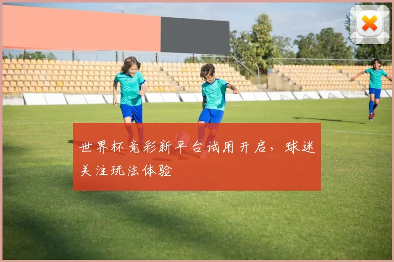 世界杯竞彩新平台试用开启,球迷关注玩法体验