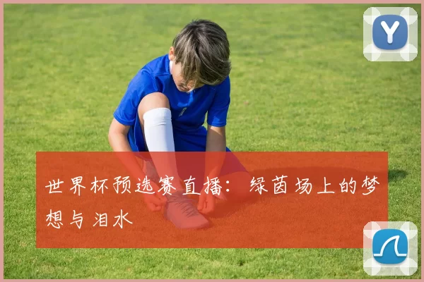 世界杯预选赛直播：绿茵场上的梦想与泪水
