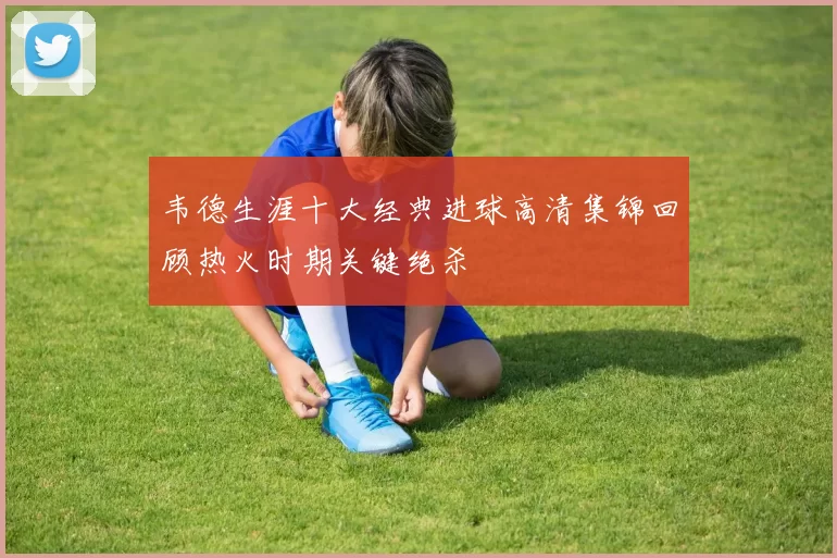 韦德生涯十大经典进球高清集锦回顾热火时期关键绝杀