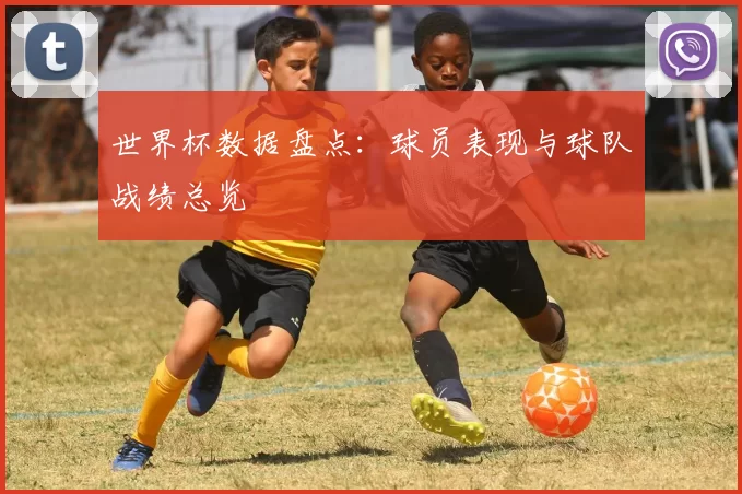 世界杯数据盘点：球员表现与球队战绩总览