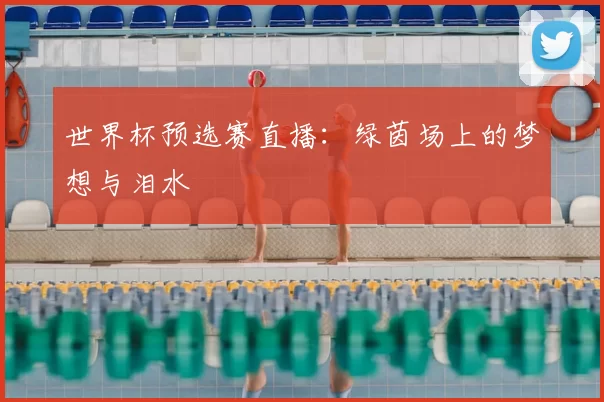 世界杯预选赛直播：绿茵场上的梦想与泪水