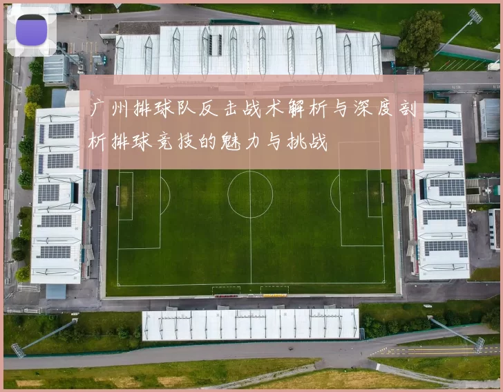 广州排球队反击战术解析与深度剖析排球竞技的魅力与挑战