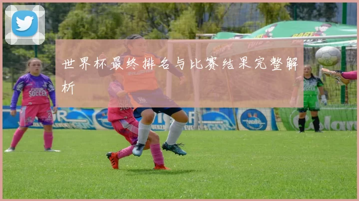 世界杯最终排名与比赛结果完整解析